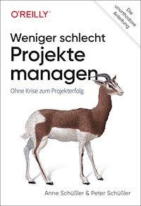 Weniger schlecht Projekte managen - Anne Schüßler - E-Book