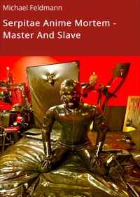 Serpitae Anime Mortem - Master And Slave - Michael Feldmann - E-Book
