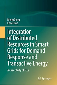 Integration of Distributed Resources in Smart Grids for Demand Response and Transactive Energy - Meng Song - E-Book