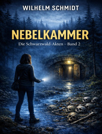 Nebelkammer - Wilhelm Schmidt - E-Book