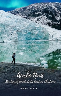 Acerbo Nimis - Pope Pius X - E-Book