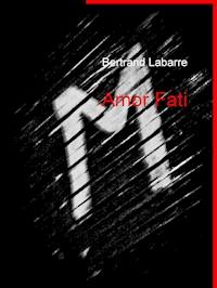 Amor Fati - Bertrand Labarre - E-Book