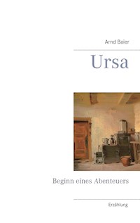Ursa - Arnd Baier - E-Book