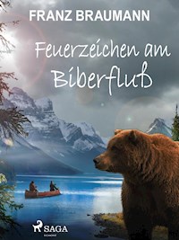 Feuerzeichen am Biberfluß - Franz Braumann - E-Book