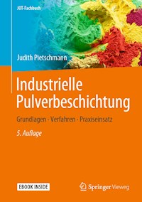 Industrielle Pulverbeschichtung - Judith Pietschmann - E-Book