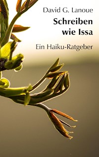 Schreiben wie Issa - David G. Lanoue - E-Book