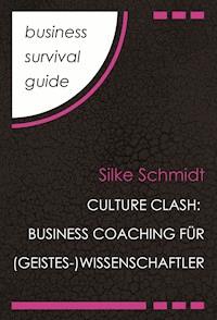 Business Survival Guide: Culture Clash - Silke Schmidt - E-Book