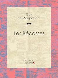 Les Bécasses - Ligaran - E-Book