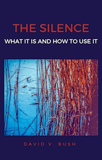 The Silence - David V. Bush - E-Book