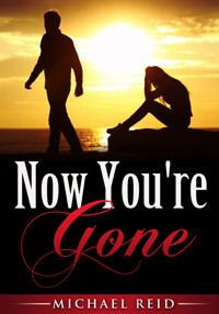 Now You're Gone - Michael Reid - E-Book