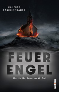 Feuerengel - Manfred Faschingbauer - E-Book