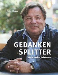 Gedankensplitter - Heinz Kleger - E-Book