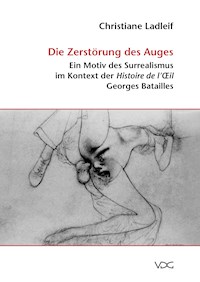 Die Zerstörung des Auges - Christiane Ladleif - E-Book