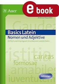 Basics Latein Nomen und Adjektive - Andreas Hausotter - E-Book