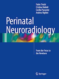 Perinatal Neuroradiology - Fabio Triulzi - E-Book
