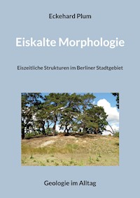Eiskalte Morphologie - Eckehard Plum - E-Book