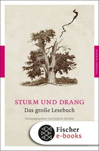 Sturm und Drang - - E-Book