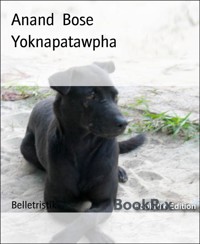 Yoknapatawpha - Anand Bose - E-Book