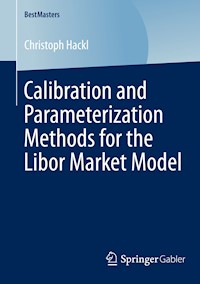 Calibration and Parameterization Methods for the Libor Market Model - Christoph Hackl - E-Book