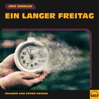 Ein langer Freitag - Jörg Zemmler - Hörbuch