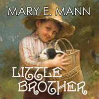 Little Brother - Mary E. Mann - Hörbuch