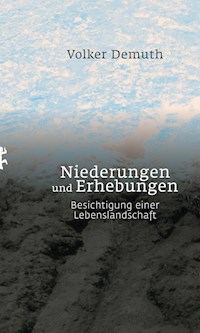 Niederungen und Erhebungen - Volker Demuth - E-Book