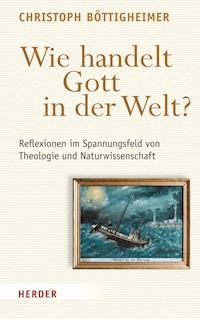 Wie handelt Gott in der Welt? - Christoph Böttigheimer - E-Book