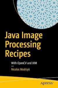 Java Image Processing Recipes - Nicolas Modrzyk - E-Book