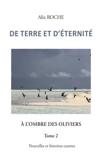 De terre et d’éternité - Alix Roche - E-Book