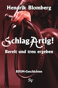 SchlagArtig! - Hendrik Blomberg - E-Book