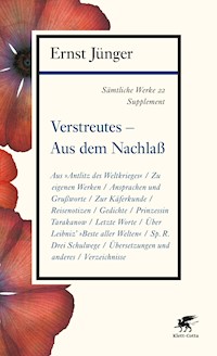 Sämtliche Werke - Band 22 - Ernst Jünger - E-Book
