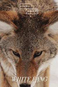 White Fang - Jack London - E-Book + Hörbuch