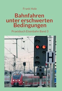 Bahnfahren unter erschwerten Bedingungen - Frank Hole - E-Book