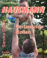 Hausmann - Sandra Olsen - E-Book