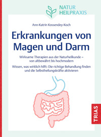 Naturheilpraxis: Erkrankungen von Magen und Darm - Ann-Katrin Kossendey-Koch - E-Book
