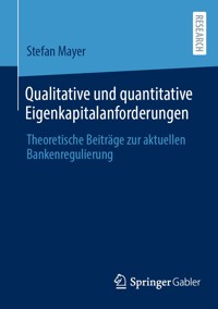 Qualitative und quantitative Eigenkapitalanforderungen - Stefan Mayer - E-Book