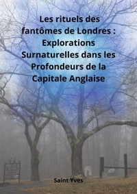Les rituels des fantômes de Londres - Saint Yves - E-Book