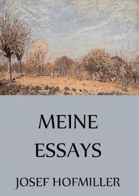 Meine Essays - Josef Hofmiller - E-Book