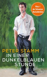 In einer dunkelblauen Stunde - Peter Stamm - E-Book