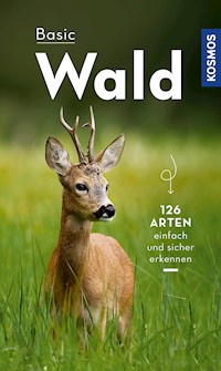 Basic Wald - Ute Wilhelmsen - E-Book
