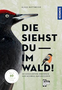 Die siehst du im Wald! 64 Vogelarten erkennen - Klaus Nottmeyer - E-Book