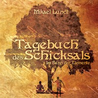 Tagebuch des Schicksals - Mikael Lundt - Hörbuch