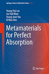 Metamaterials for Perfect Absorption - Young Pak Lee - E-Book