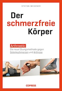 Der schmerzfreie Körper - Stefan Wegener - E-Book
