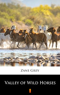 Valley of Wild Horses - Zane Grey - E-Book