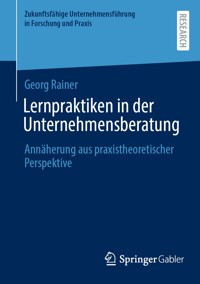Lernpraktiken in der Unternehmensberatung - Georg Rainer - E-Book