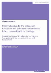 Unterrichtsstunde: Wir entdecken Rechtecke mit gleichem Flächeninhalt haben unterschiedliche Umfänge! - Tina Herrmann - E-Book