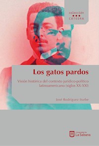 Los gatos pardos - José Rodríguez Iturbe - E-Book