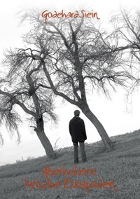 Aberhuberts lyrische Eskapaden - Godehard Stein - E-Book