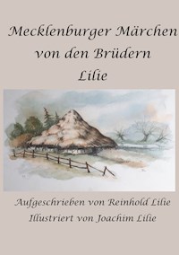 Mecklenburger Märchen von den Brüdern Lilie - Reinhold Lilie - E-Book